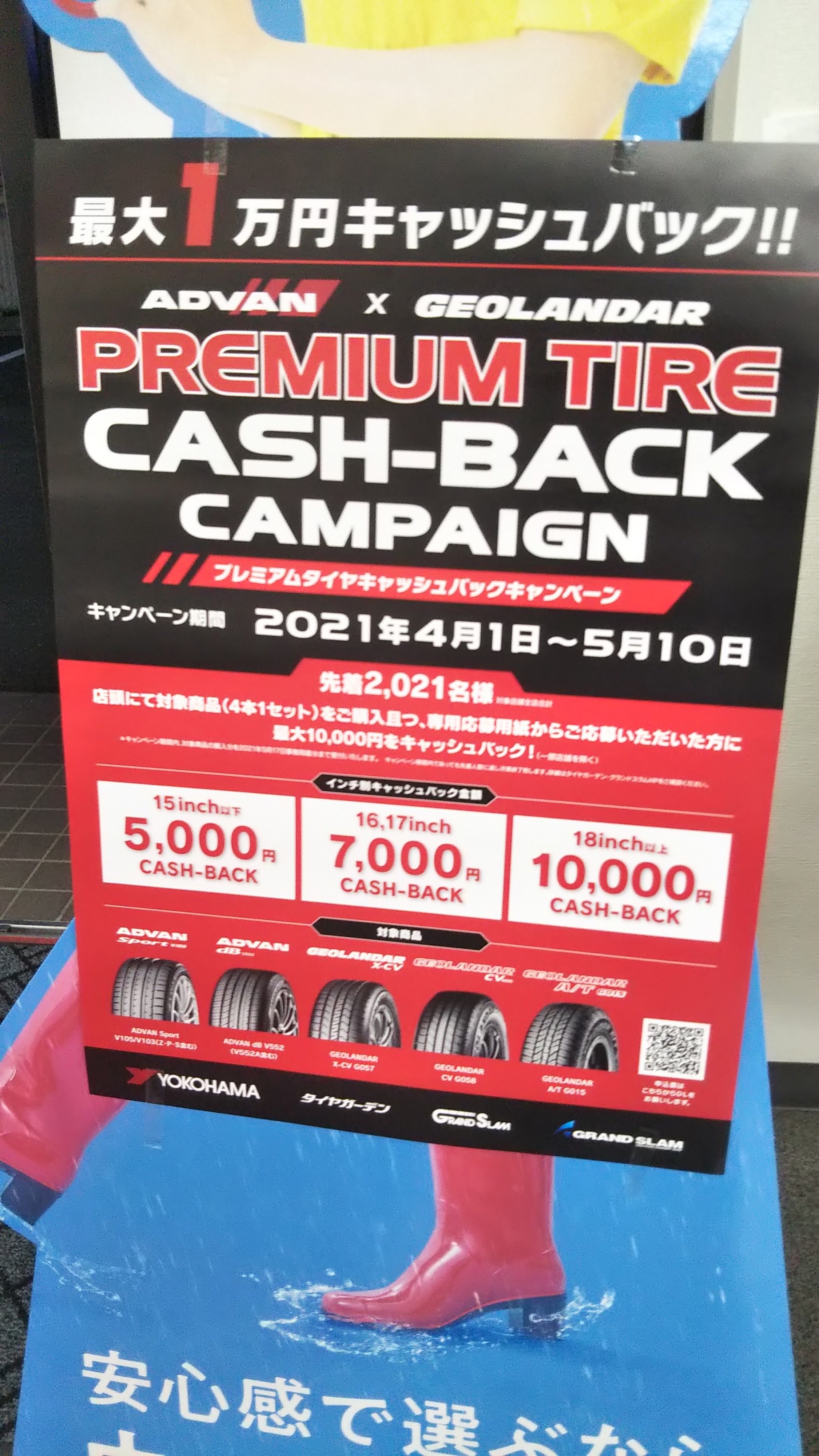 本日まで！！