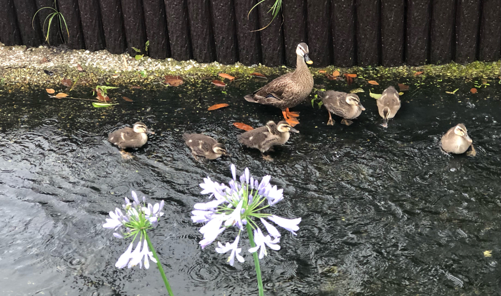今日も元気そうです！