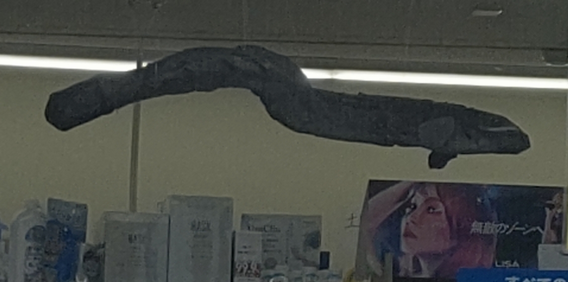 ウナギの季節
