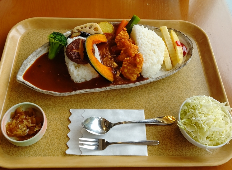 初めてのダムカレー