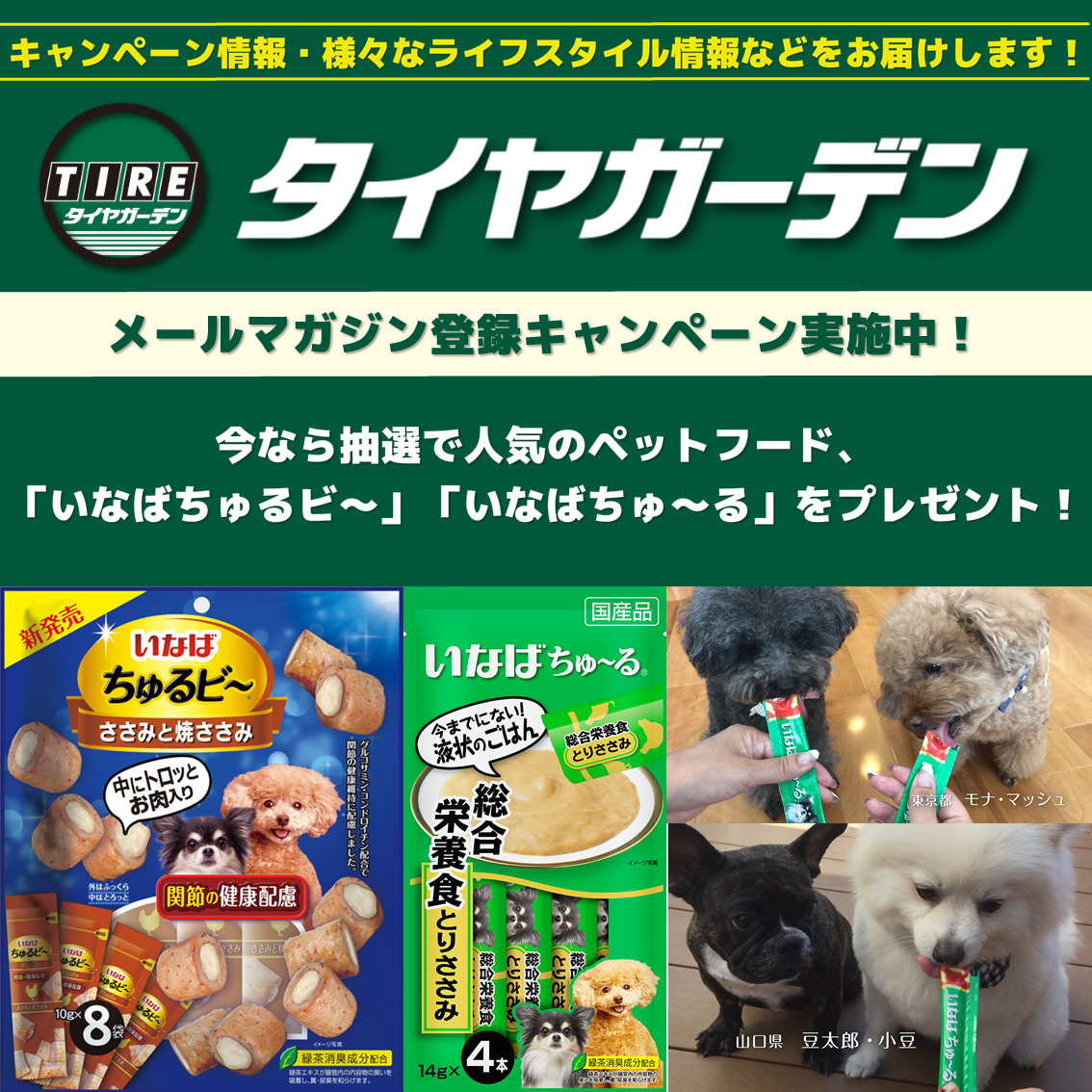いなばペットフード株式会社様とのコラボ企画！