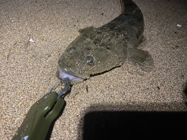 スタッフＮの釣りブログ