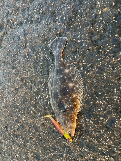 スタッフＮの釣りブログ