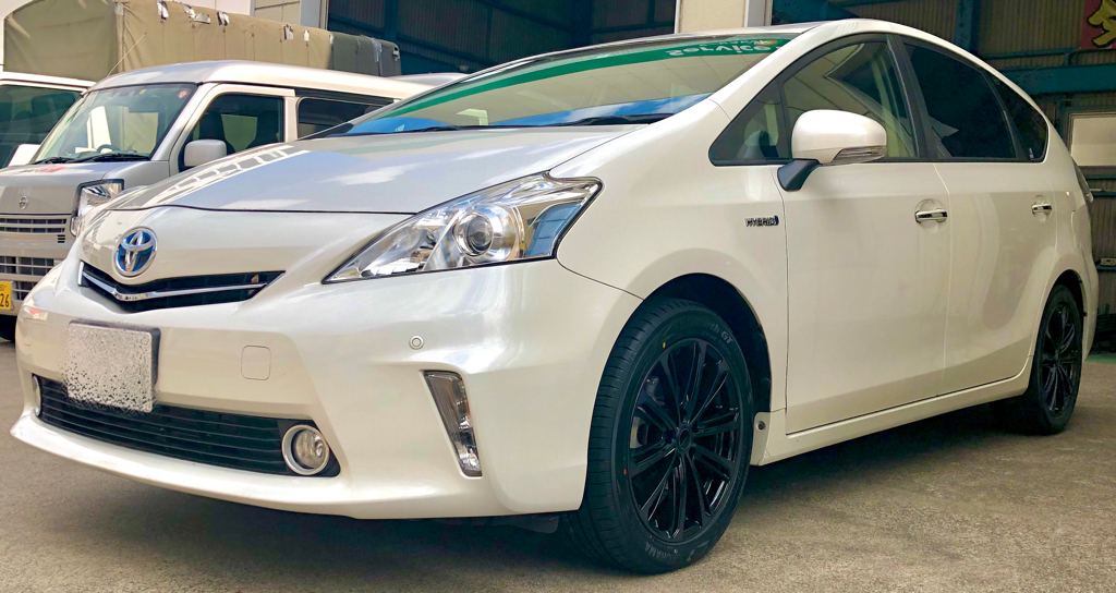 DIANELLA W10+BluEarth GT