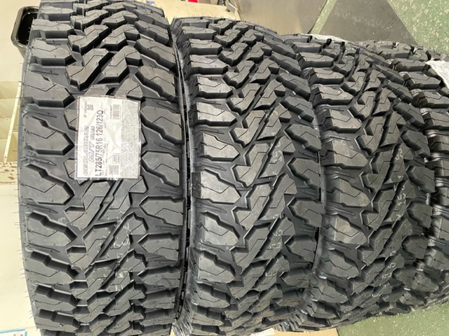 ジオランダーM/T G003