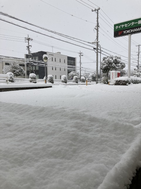 予想以上の積雪