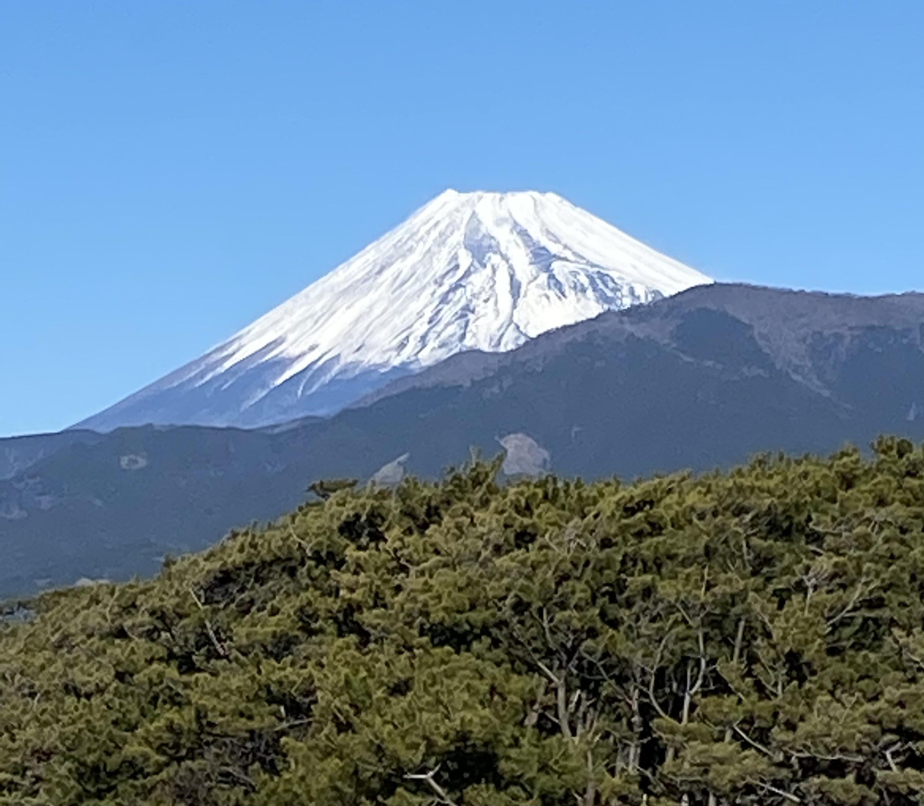 あけましておめでとうございます。