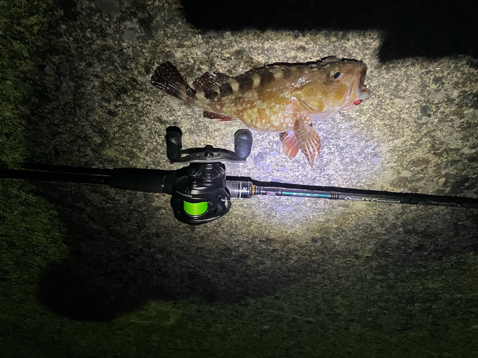 スタッフＮの釣りブログ