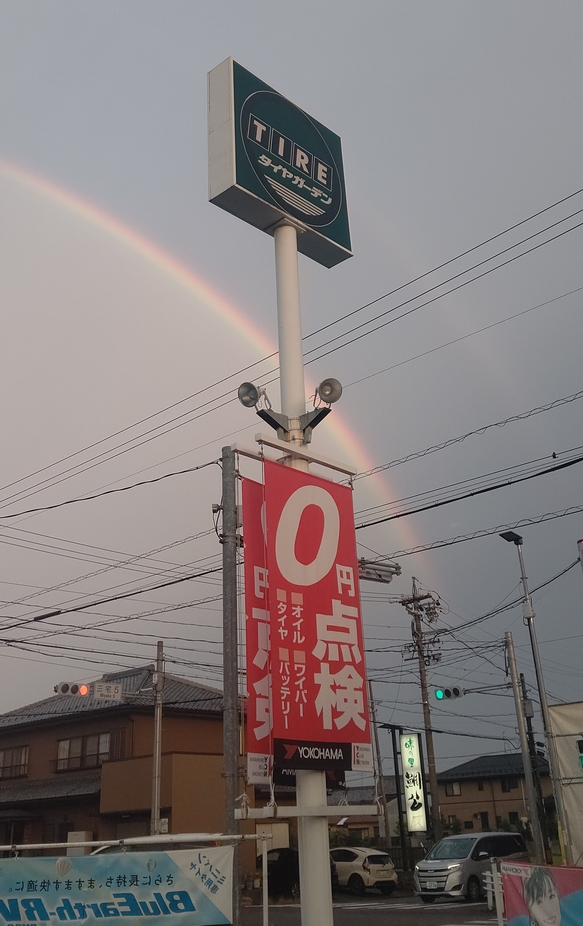 毎日暑いですね