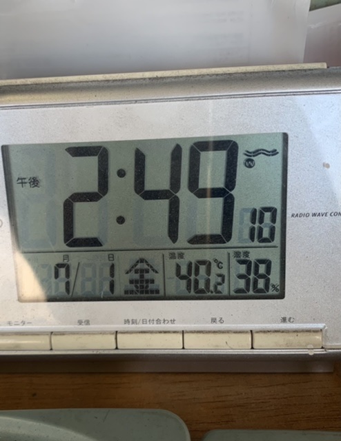 今日はホント暑いです(；&acute;Д`A