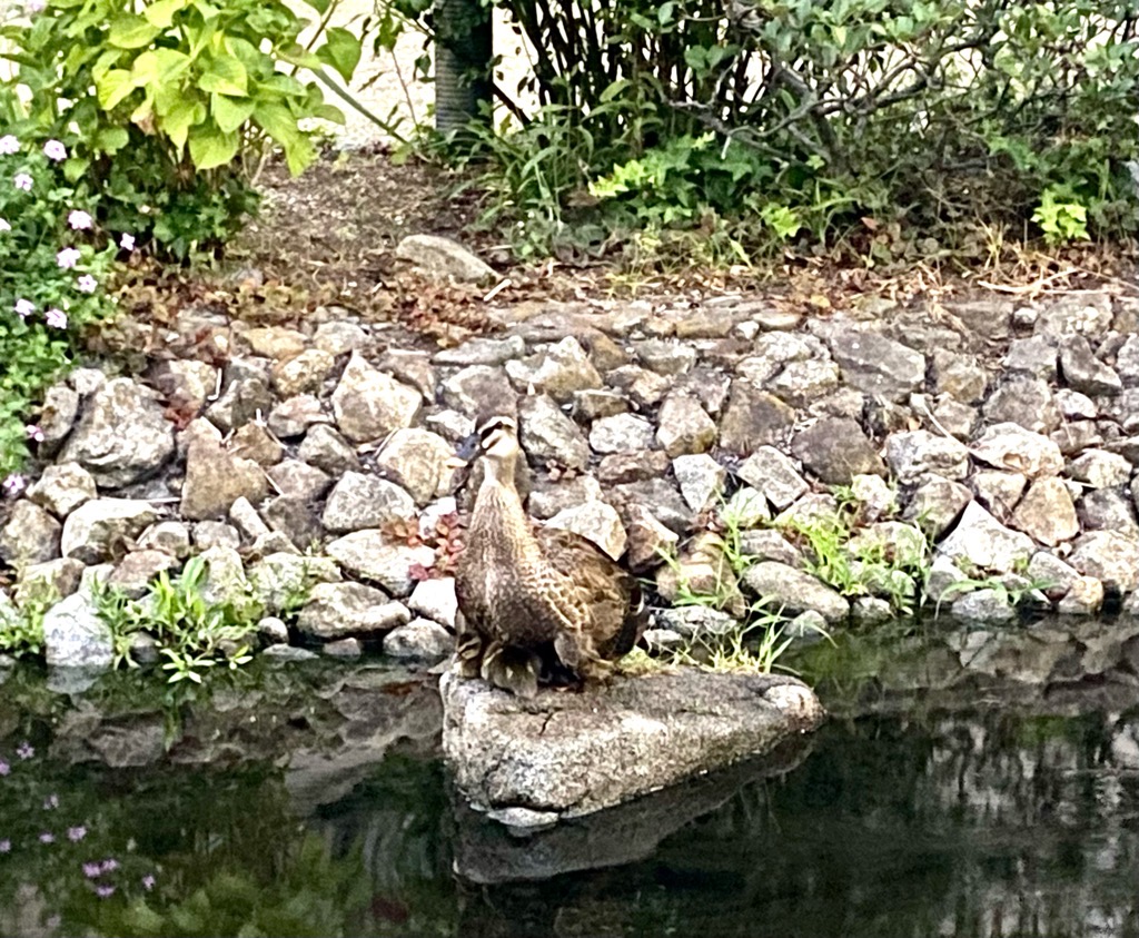 出産ラッシュ継続中！？