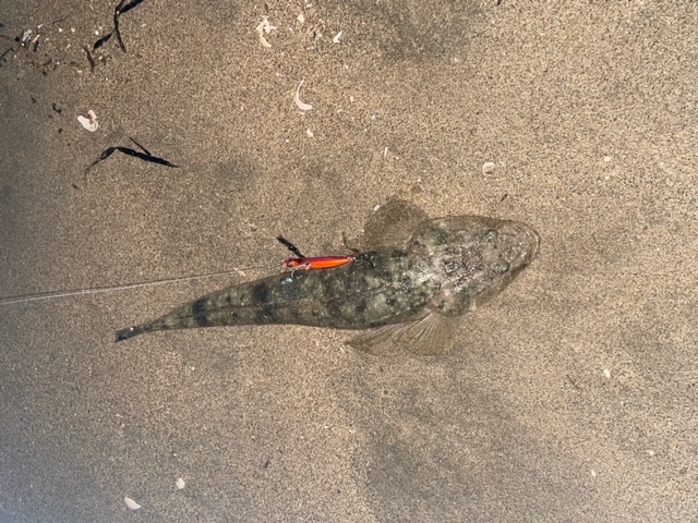 昨日から通常営業しています