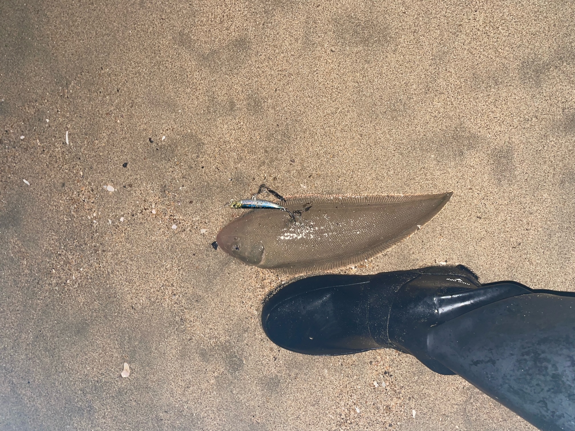 スタッフＮの釣りブログ