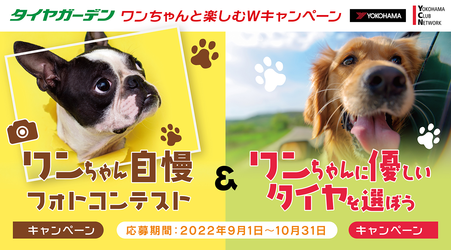 ワンちゃんと楽しむWキャンペーン❕❕