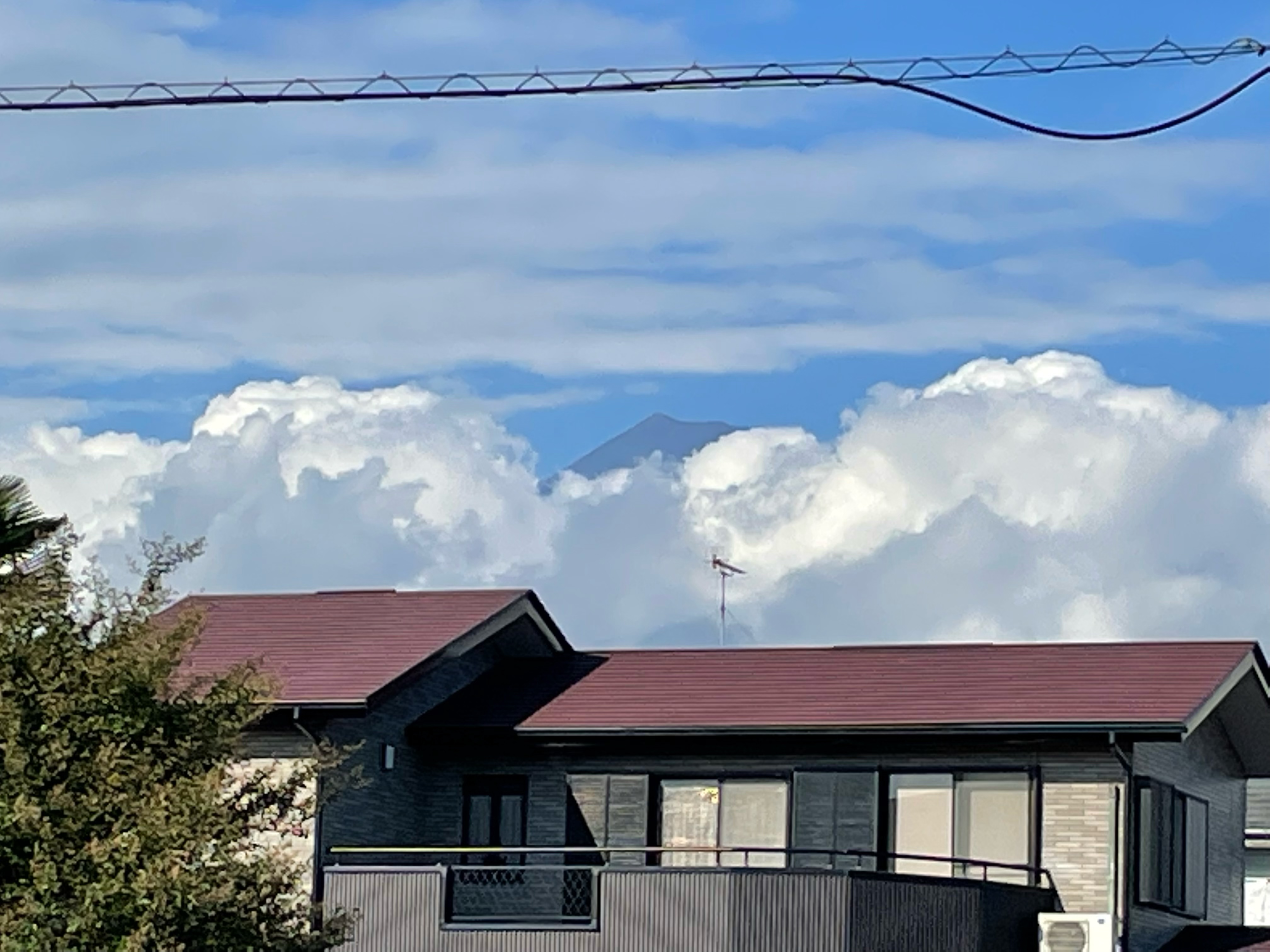 今日はいい天気でしたね✩