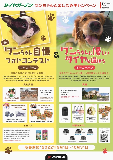 いなばちゅ～るを貰おう！