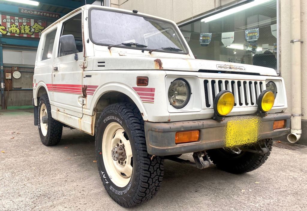 GEOLANDAR X-AT