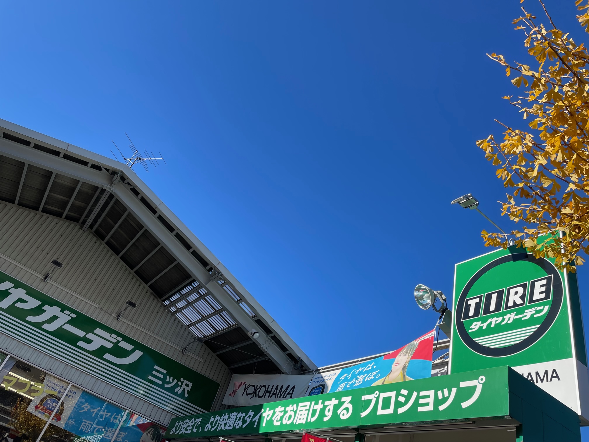 本年も