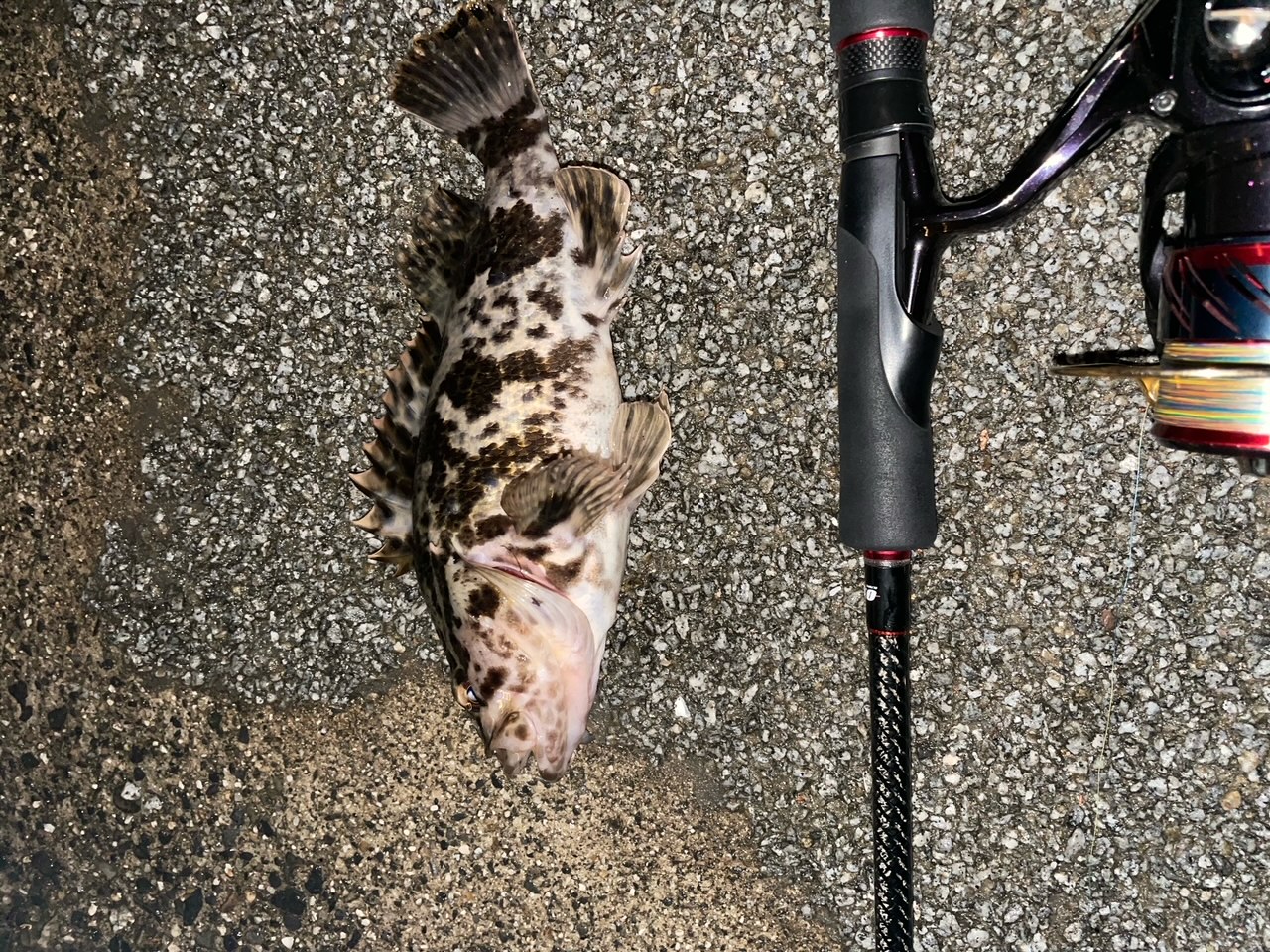 スタッフＮの釣りブログ