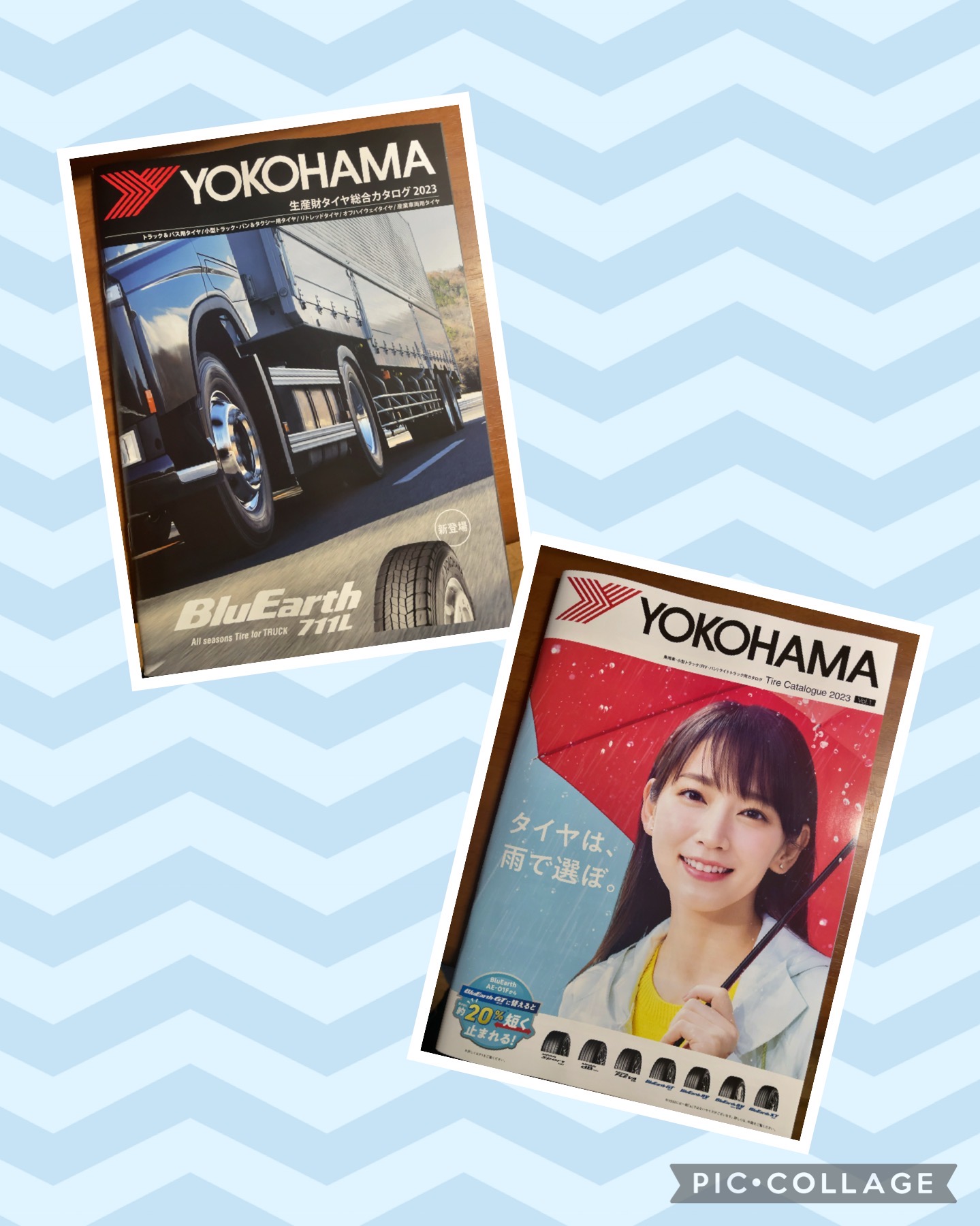 NEWカタログ