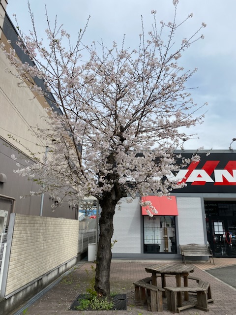 今月もありがとうございました。