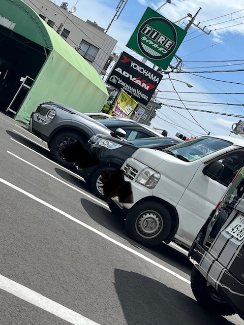 本日より!!!