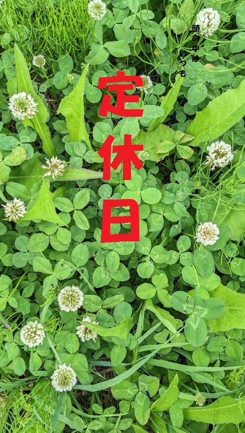 ジャンプは時々土曜に出るから気を付けろ