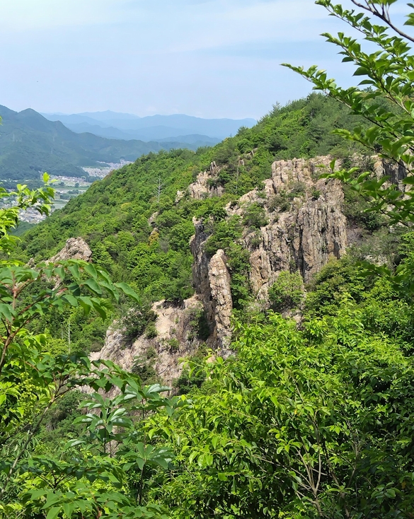 芥見権現山
