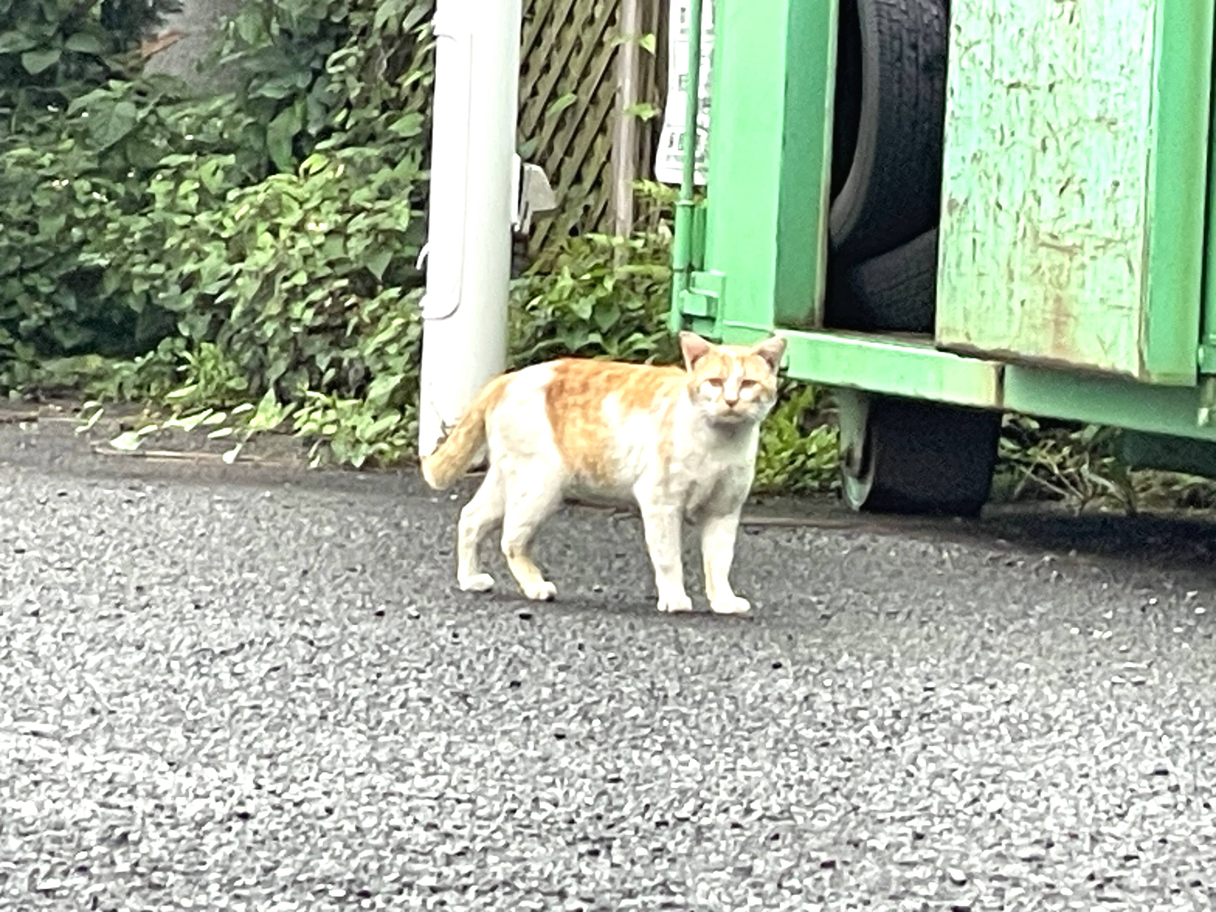 いらっしゃいませ～♪