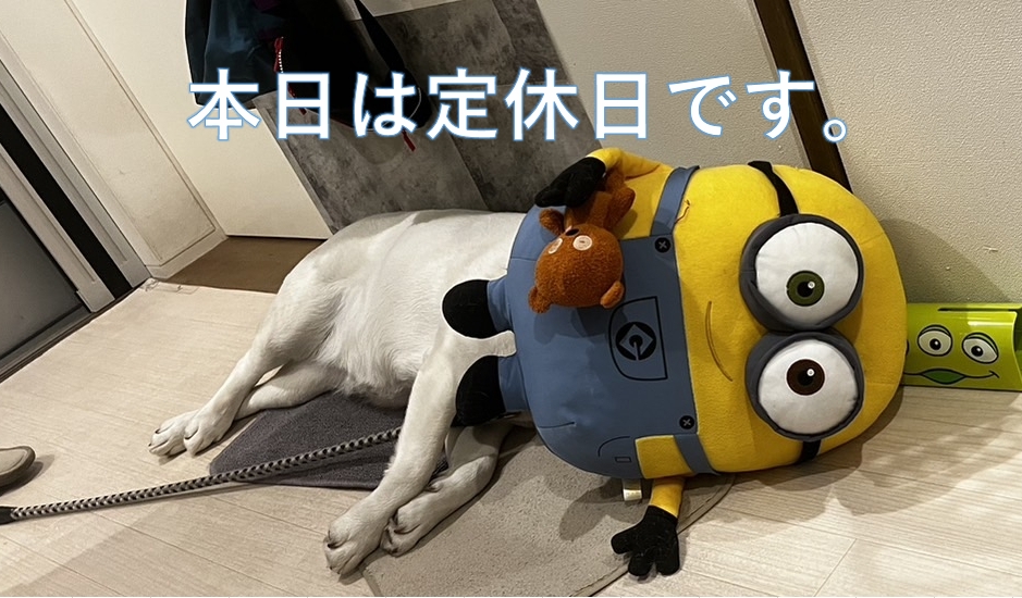本日は定休日です