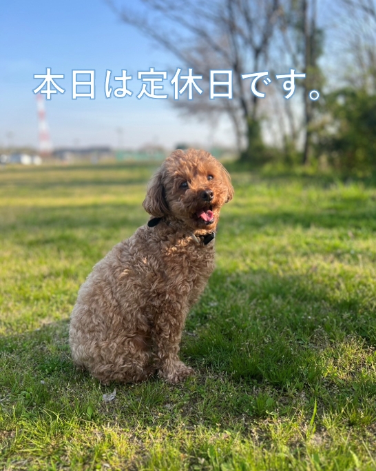 本日18日と19日は定休日です
