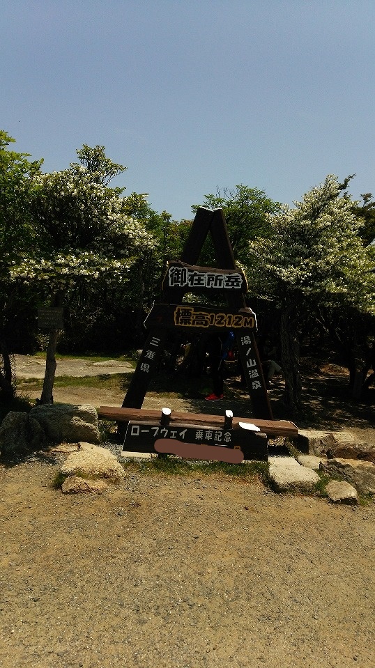 夏と言えば・・・