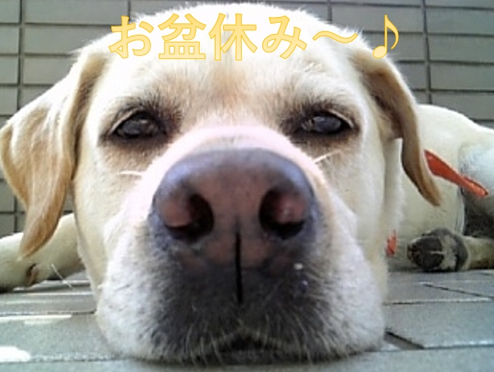 12日～16日までお盆休みです
