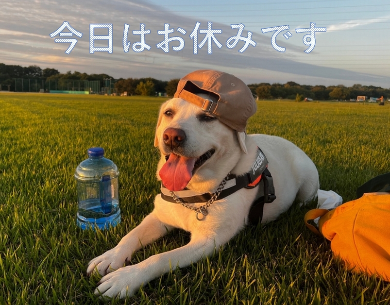 本日は定休日です