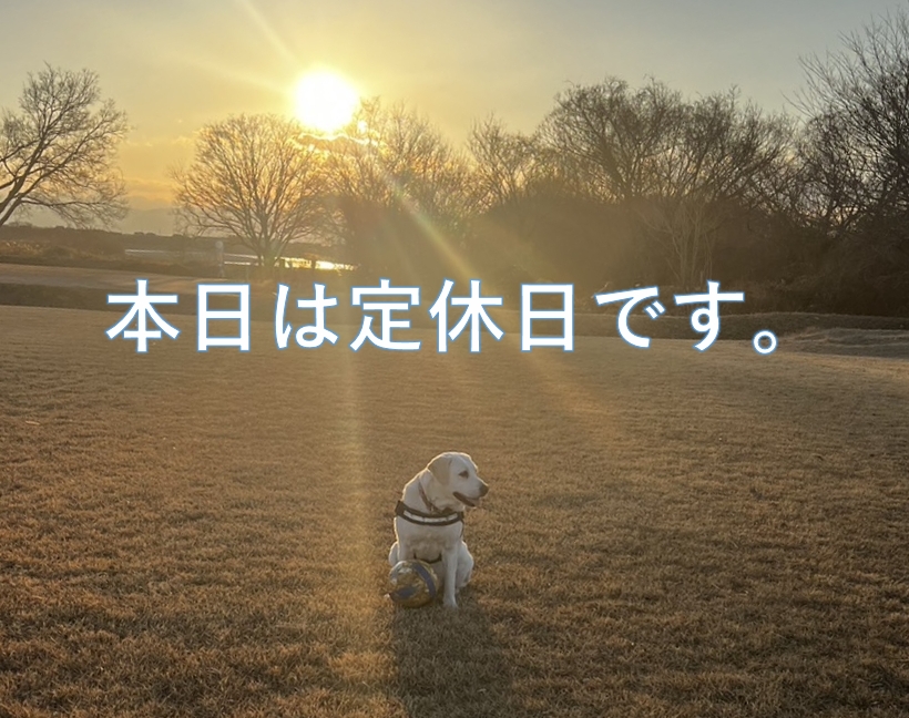 本日はお休みです。