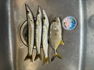 スタッフNの釣りブログ