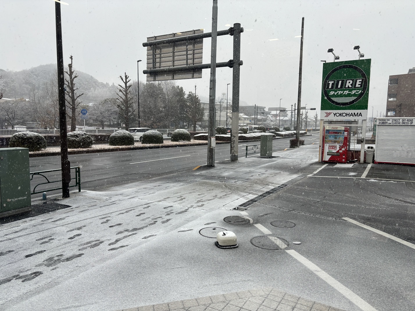 雪が積もってきました。。。。