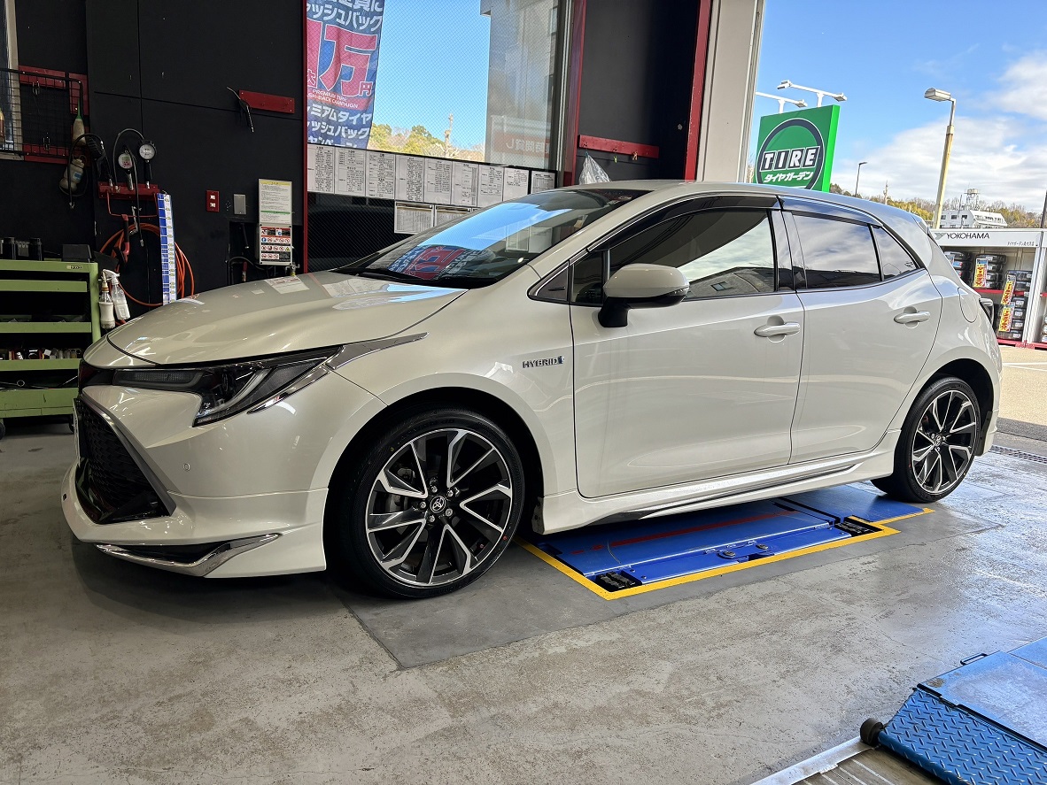 なんと！！本日も dB V553 スタート！！