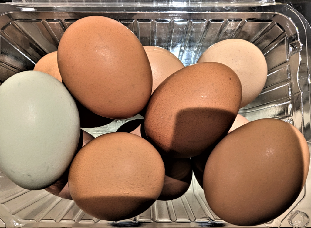 味の違いわかるのかな？