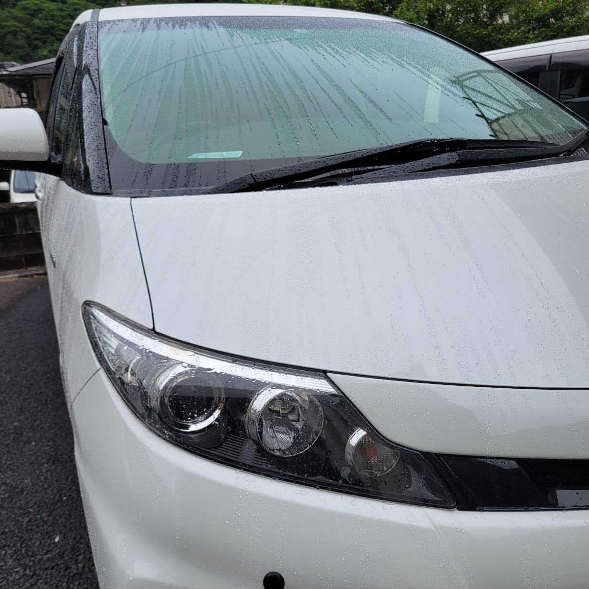雨の日の楽しみ