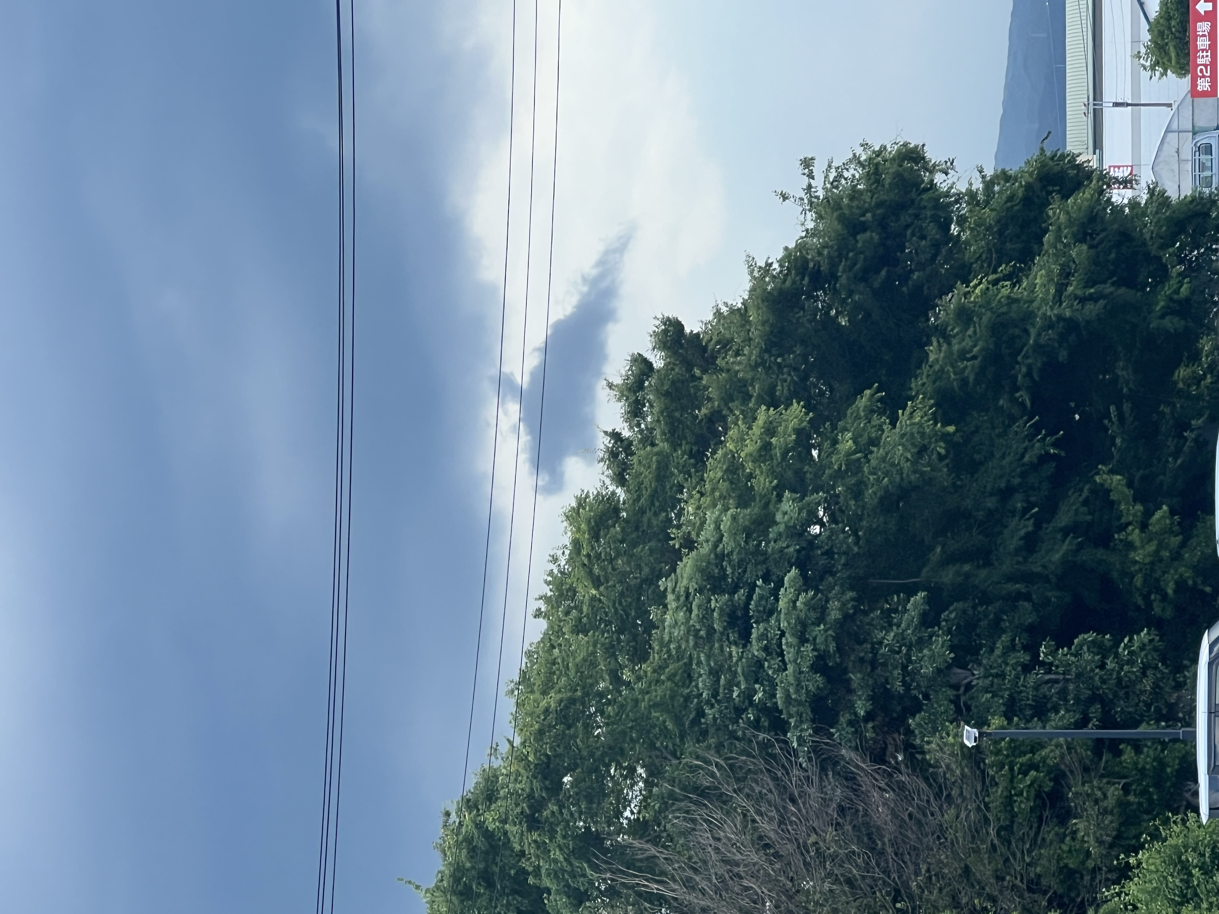 鯨雲