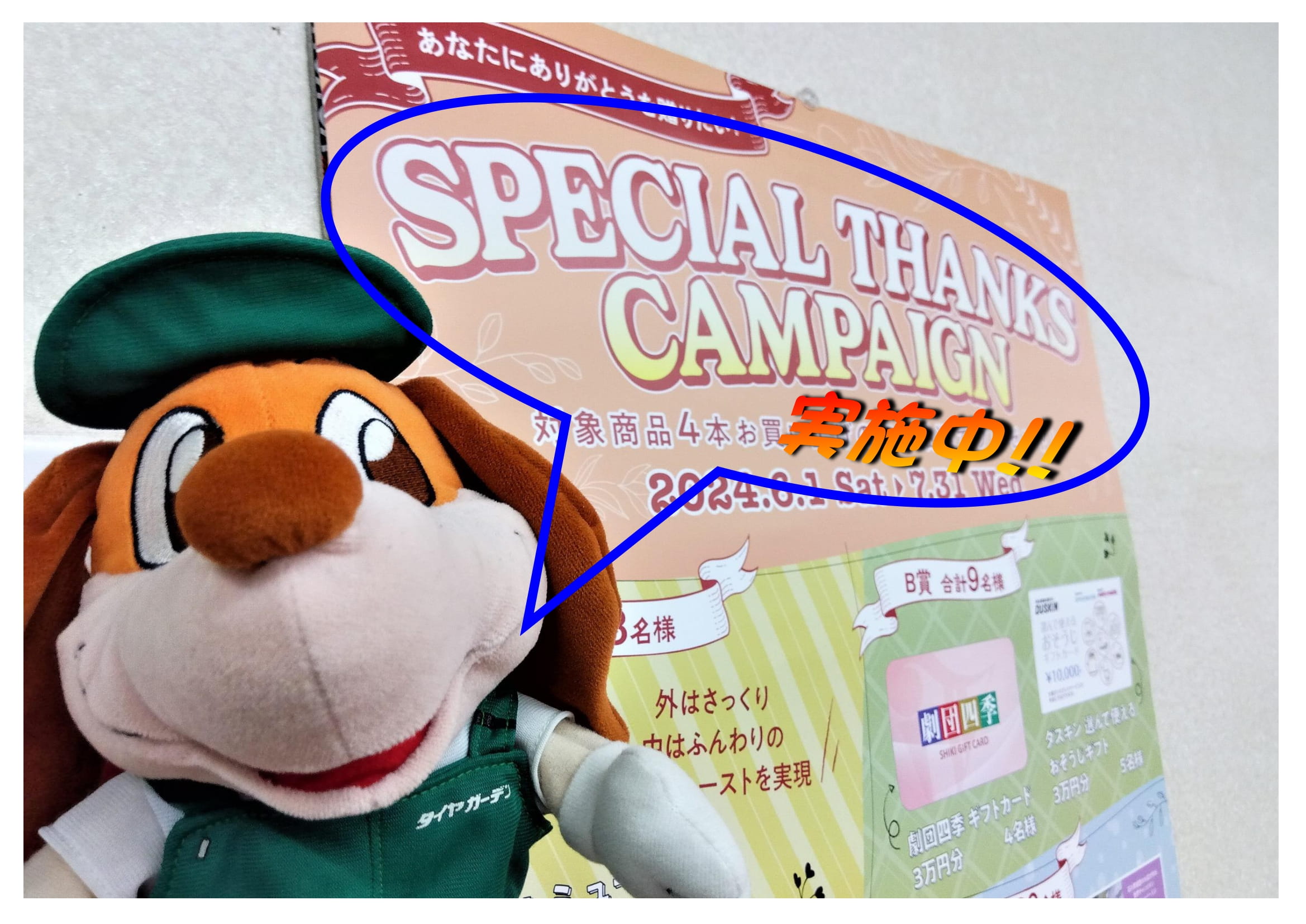 スペシャルサンクスキャンペーン実施中！！