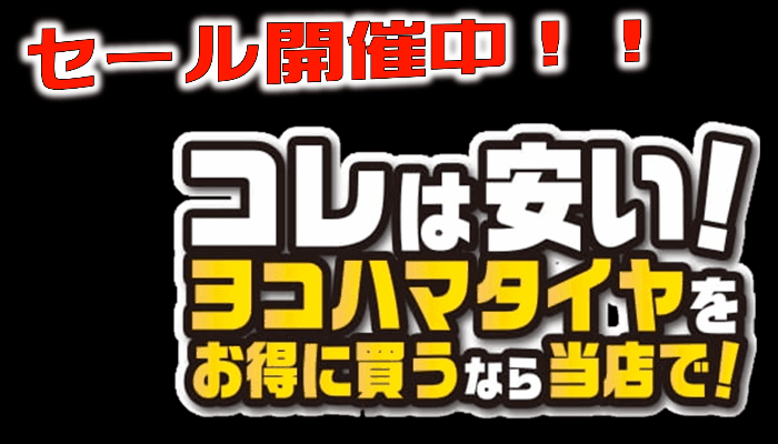 掲載チラシのセール中！！