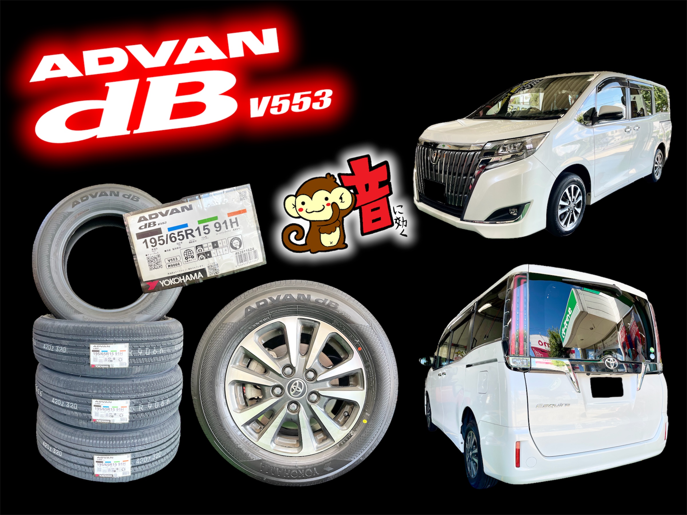 エスクワイア x ADVAN dB V553