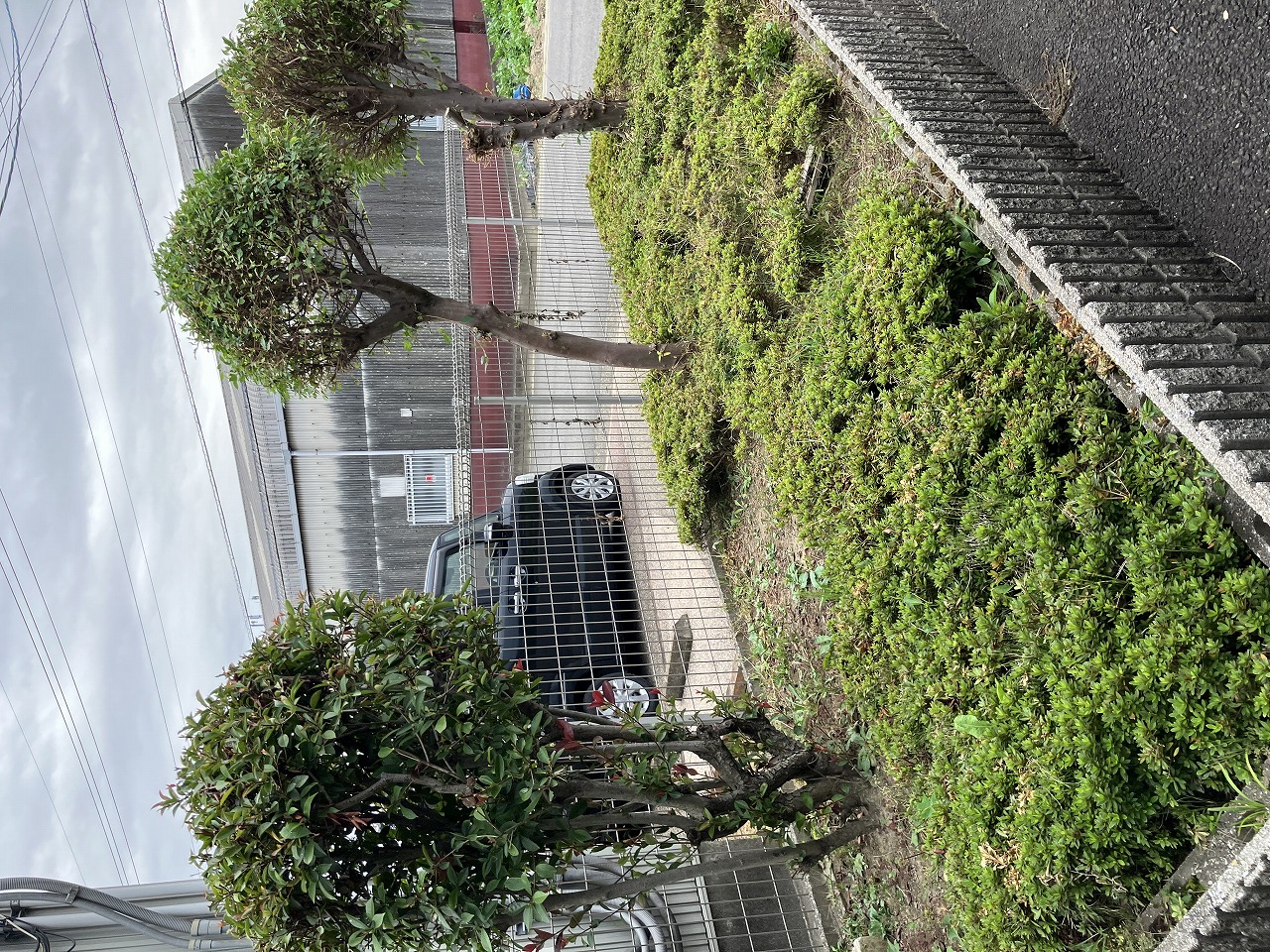 花壇清掃