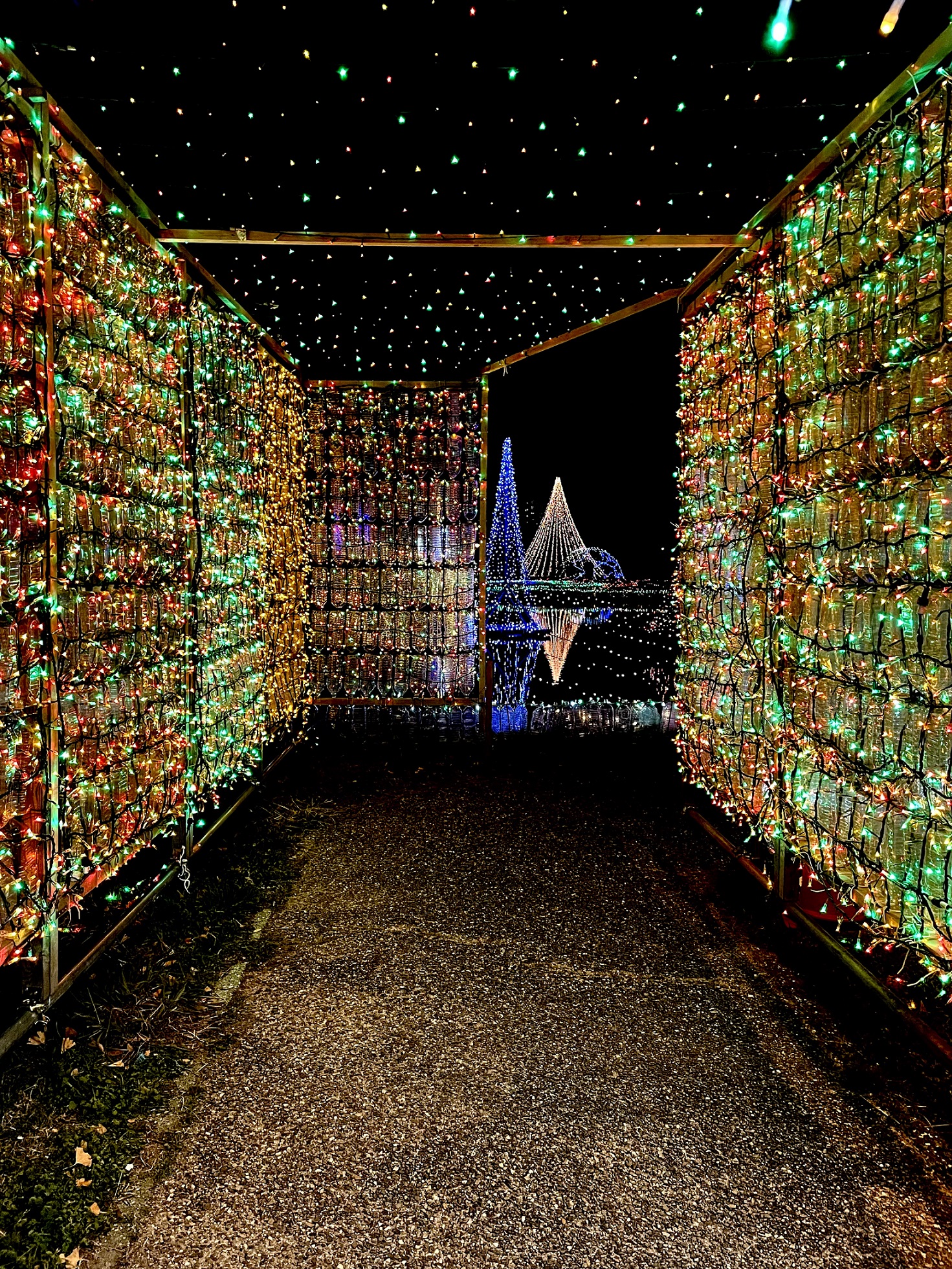 Lighting Bell in能登川2024