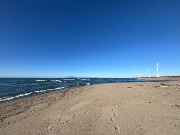 海に行きました。