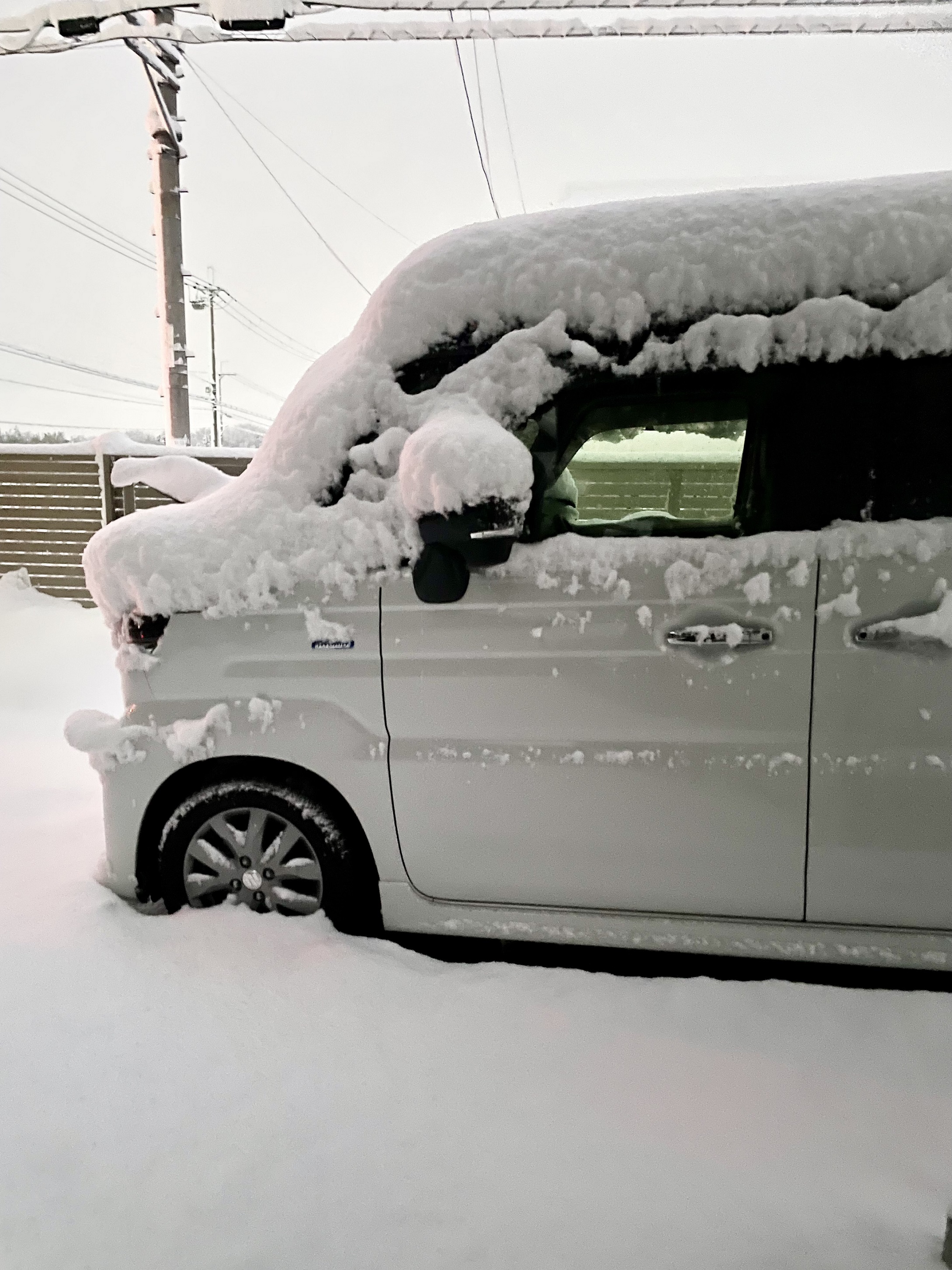 彦根の積雪25cm！