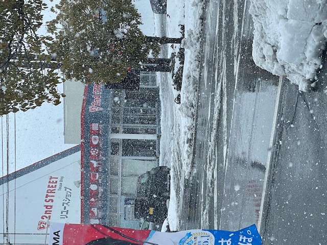 積雪！！