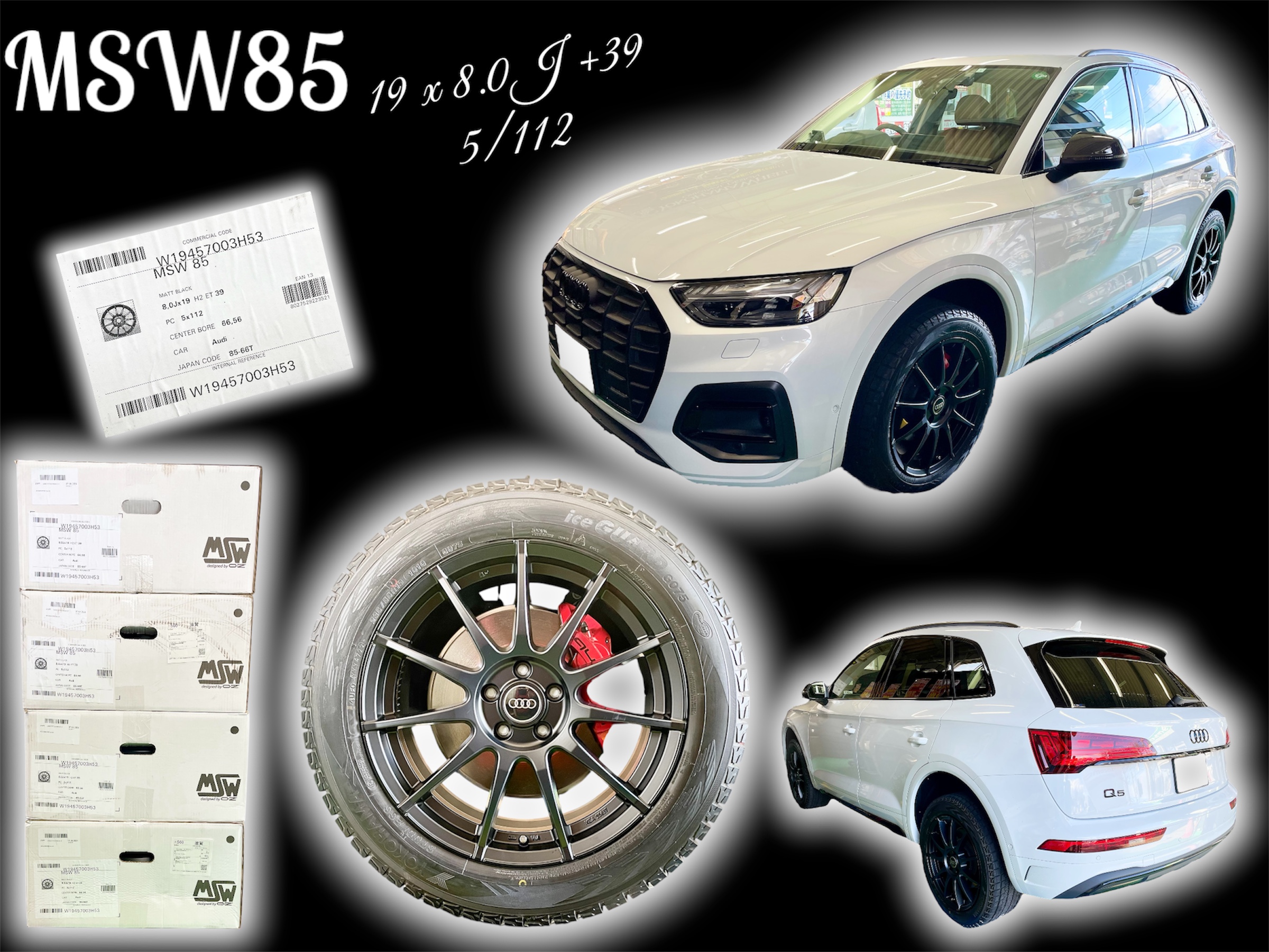 Q5 x MSW85-Ⅱ